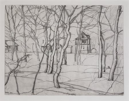 Trees and Houses in Winter