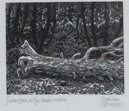 Fallen Tree in the Dark Woods