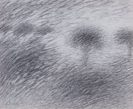 Untitled (Landscape with Trees)