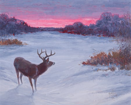 Red Sky, Buck at Sunset