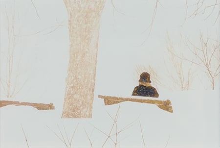 Watching the Snow, Mt. Royal