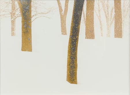 Trees on Mt. Royal