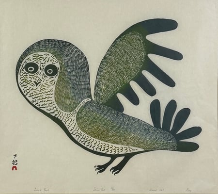 Lucy's Owl