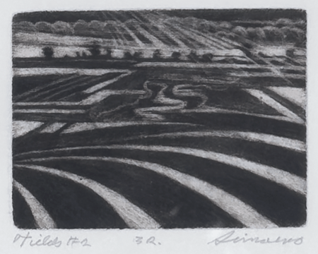 Fields #2
