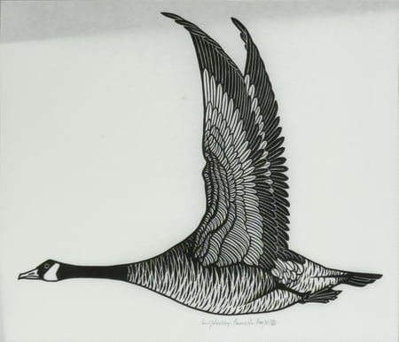 Canada Goose