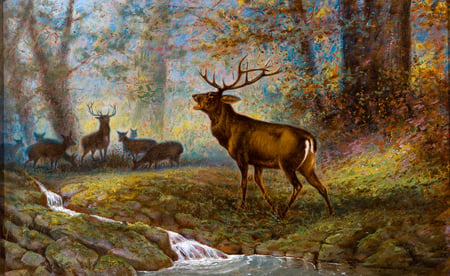 Untitled (Woodland Elk)