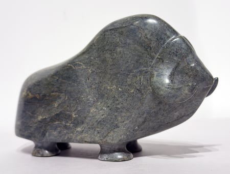 Standing Muskox