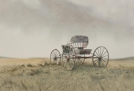 Democrat Wagon, Arden (Manitoba)