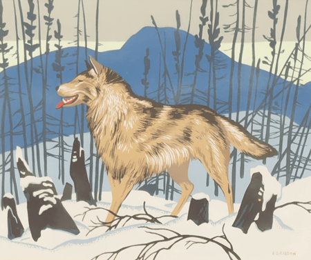Wolf in Winter