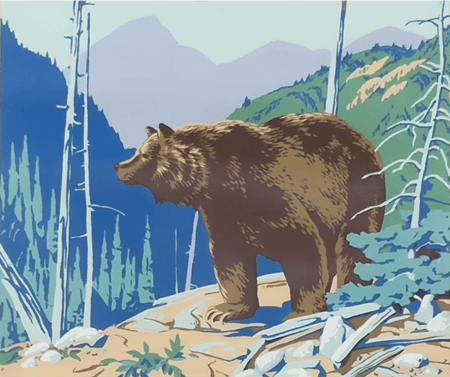 Grizzly Bear