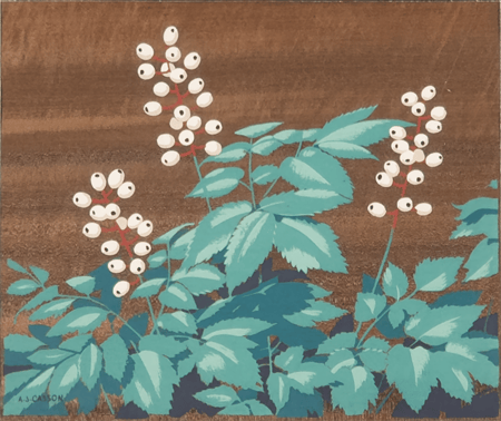 White Flowers