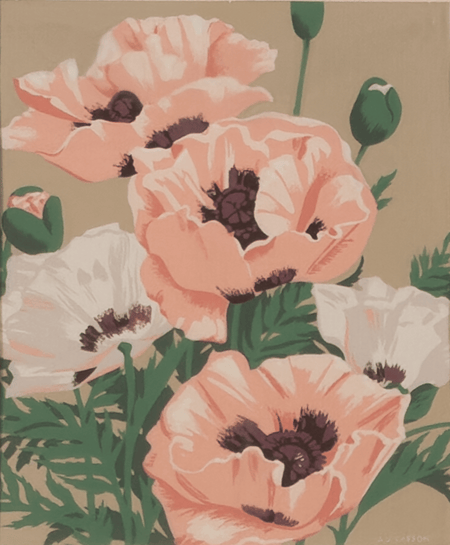 Pink Poppies