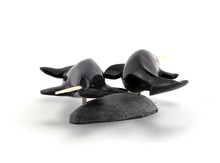 Narwhal Pair