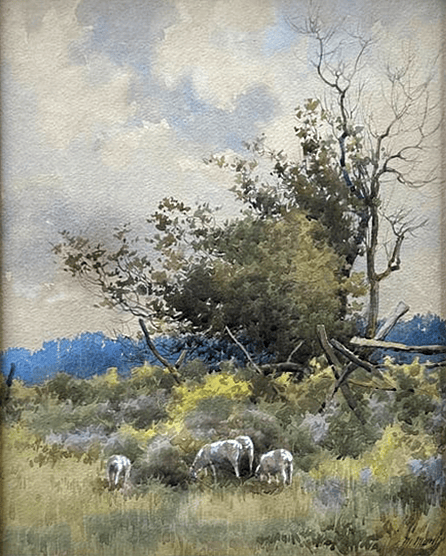 Untitled (Grazing Sheep)