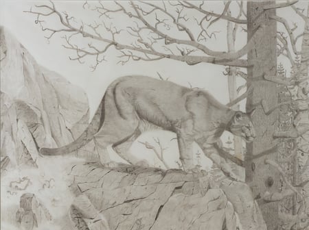 Cougar
