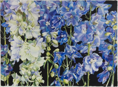 Untitled (Flowers)
