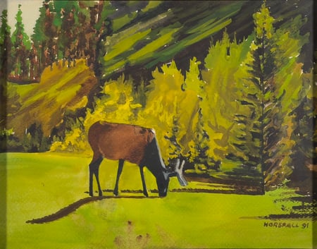 Grazing Elk