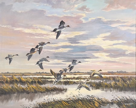 Prairie Afternoon Pintails
