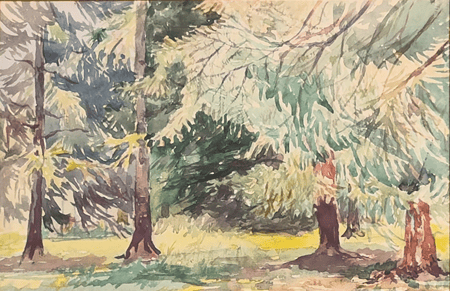 Untitled (Manitoba Forest Scene)