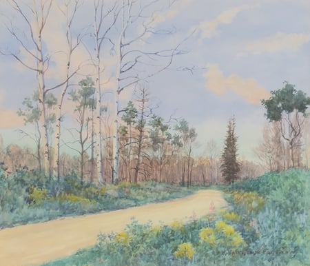 The Road to Audy Lake, Riding Mountain National Park, MB