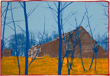 Domink's Barn