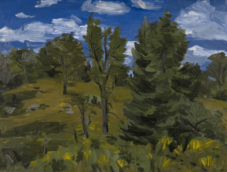 Trees Against the Sky