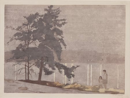 Summer Night, Lake of the Woods