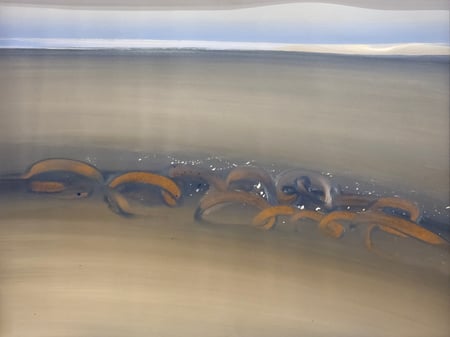 Tidal Flats II