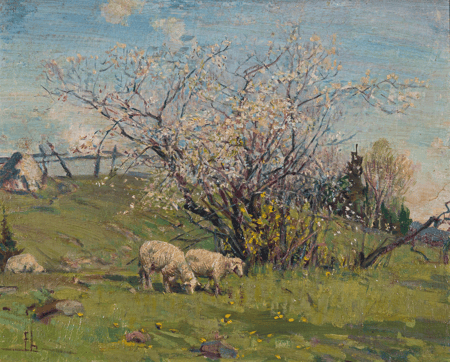 Untitled (Grazing Sheep)