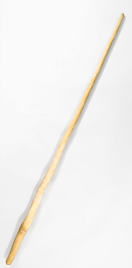 Large Narwhal Tusk