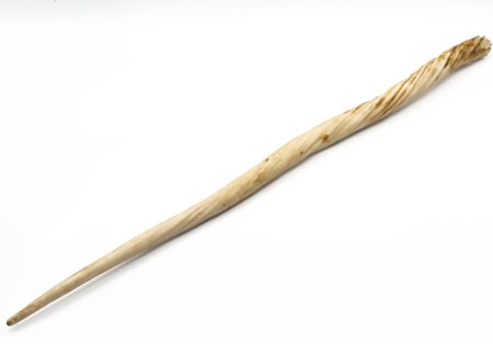 Narwhal Tusk