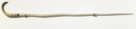Narwhal Tusk Cane