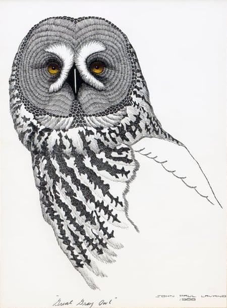 Great Gray Owl