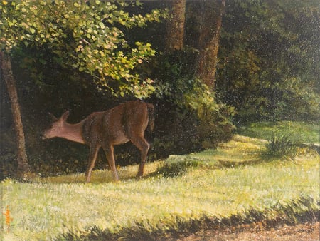 Edge of the Woods
