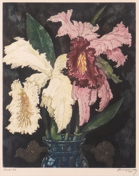 Orchids