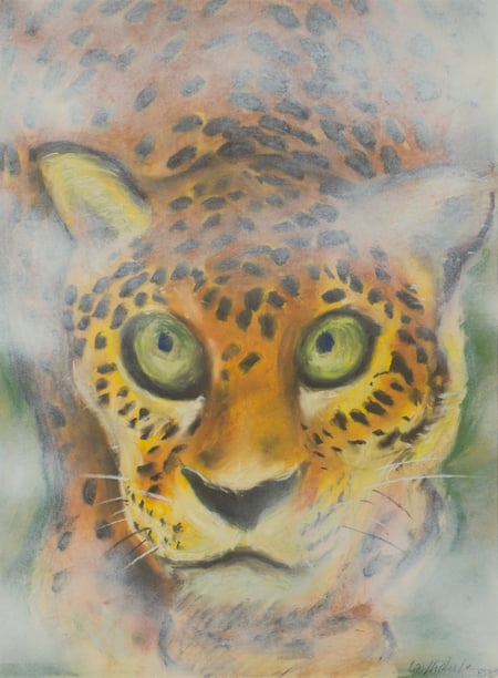 Untitled (Cheetah)