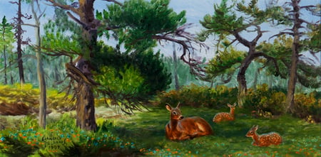 Mid-Day Rest - Whitetail Doe and Fawns