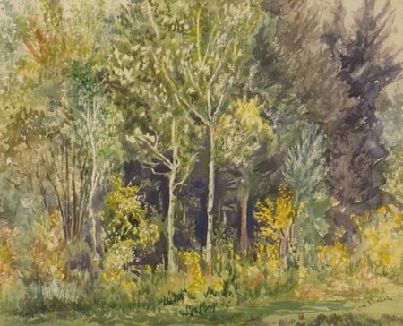 Lake Foliage