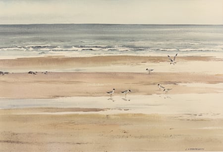 Untitled (Lake Winnipeg)