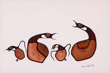 Loon Family