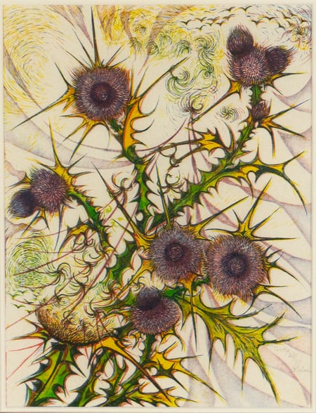 Thistle