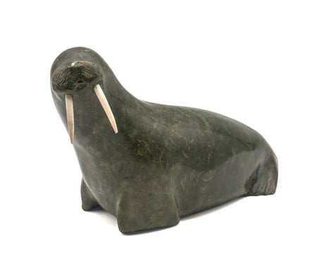 Walrus