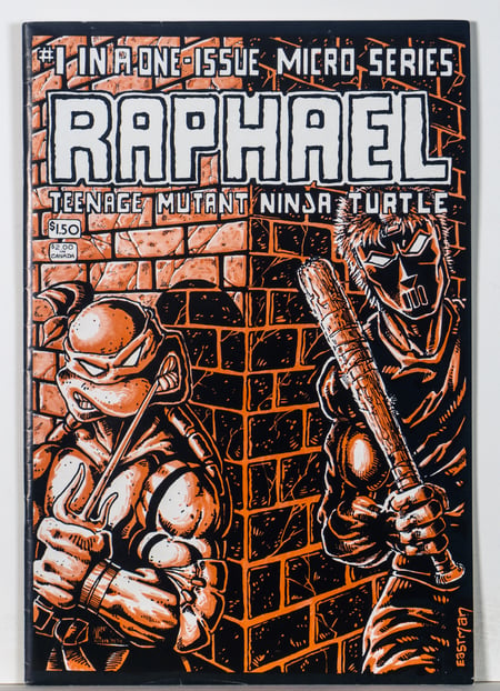 Raphael: Teenage Mutant Ninja Turtles #1