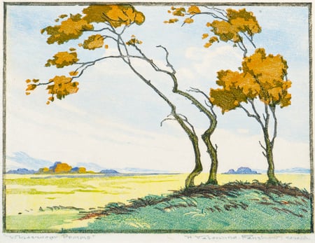 Windswept Prairie