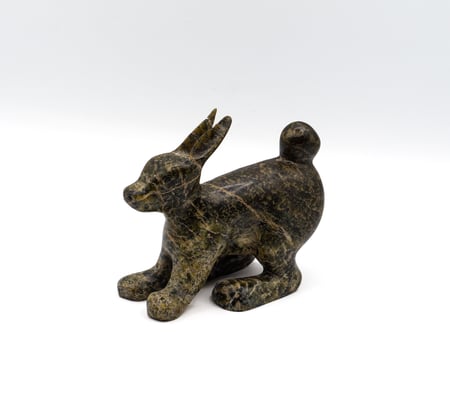 Hare