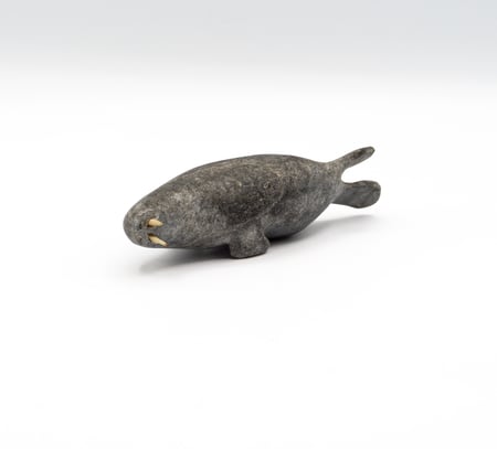 Walrus