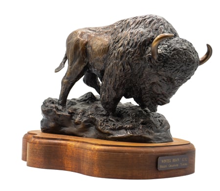 Winter Bison