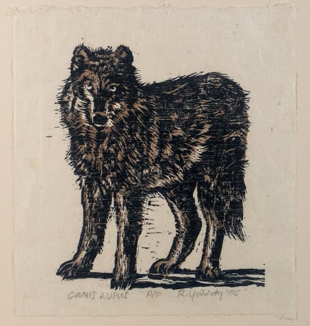 Canis Lupus A/P