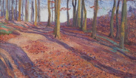 Long Shadows in the Trees