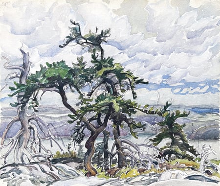 Twisted Pines, Grace Lake, LaCloche